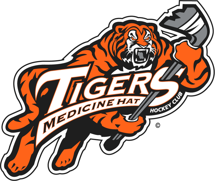 medicine hat tigers 1998-2003 primary logo iron on transfers for clothing